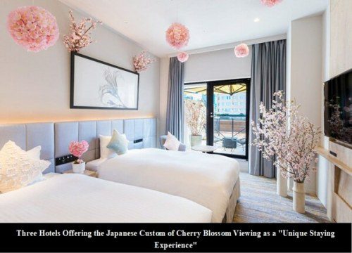Discover Japan’s Exclusive Hanami Experience with Hotel Management