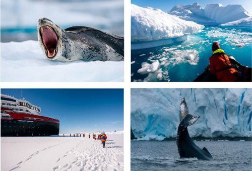 Exploring Antarctica: Expedition Photographer’s Stunning Shots