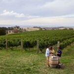 Explore NSW’s Wine Regions with Every Sip