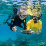 Join Citizen Science at the Great Barrier Reef