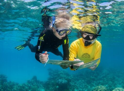 Join Citizen Science at the Great Barrier Reef