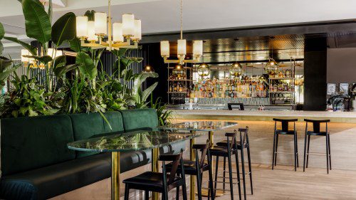Discover Gold Coast’s New Gem: Shiny Bar Sensation!