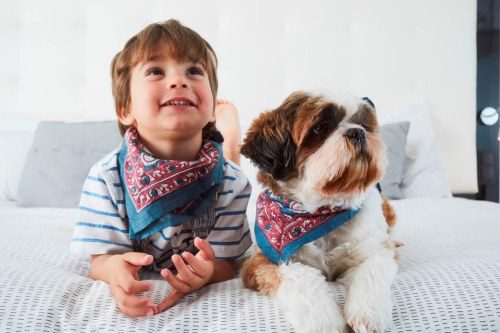 Meliá Hotels: Enhanced Pet Friendly Program!