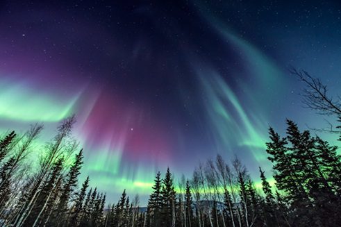 See Northern Lights on Every Princess Cruise to Alaska in 2024