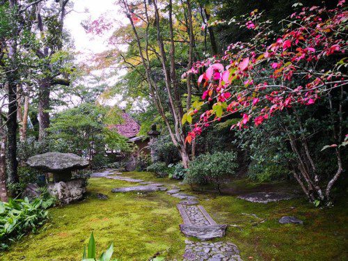 Discover Kyoto: Mountains to Sea with Walk Japan!