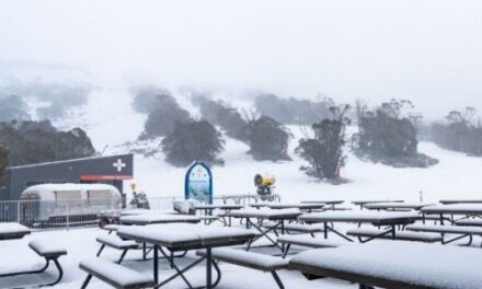 Thredbo Wakes to 13cm Fresh Snow: More Coming!