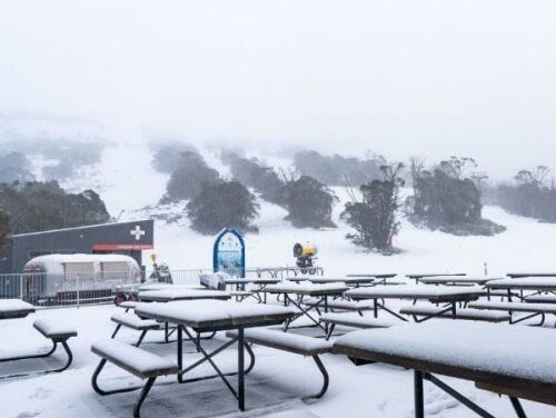 Thredbo Wakes to 13cm Fresh Snow: More Coming!
