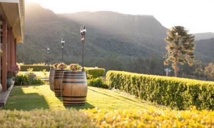 Discover What’s New at Ultimate Winery Experiences Australia!
