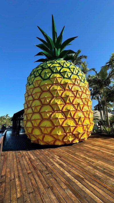 Big Pineapple freshly painted with new viewing deck