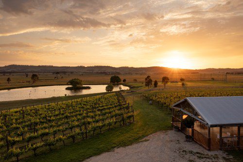 Embers & Wine: Lancemore’s Cozy Escape!