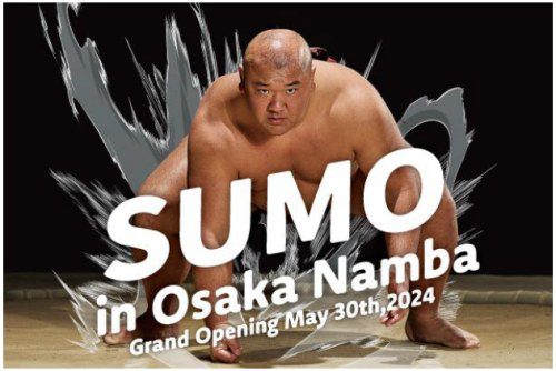 Grand Opening: Sumo Entertainment Show at Hirakuza Osaka