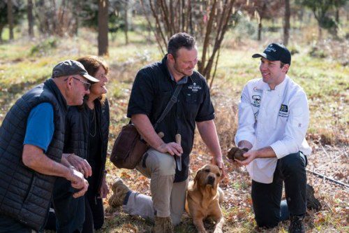 Canberra’s Cool Winter Lineup Unveiled!