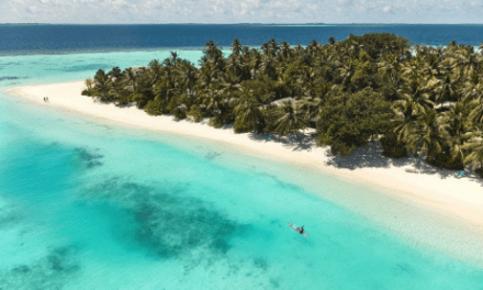 Nova Maldives Plants 75 Coconut Trees for World Environment Day