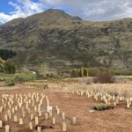 Queenstown Airport Wins Global Award for Biodiversity!
