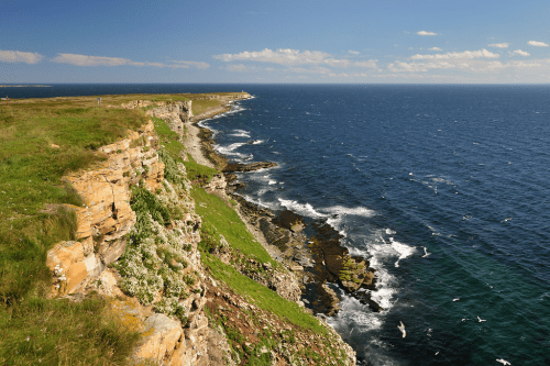 Discover Wild Varanger with Up Norway This Summer!