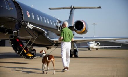 Aero Supports Flora Farm’s Animal Rescue with Free Flights!