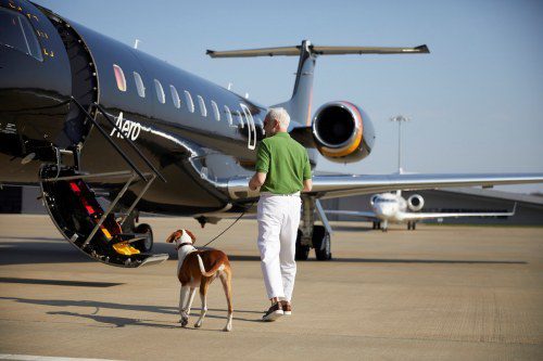 Aero Supports Flora Farm’s Animal Rescue with Free Flights!