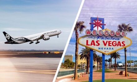 Fly High: Warriors’ Las Vegas Adventure Awaits
