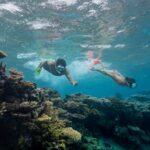 Discover Fiji’s Pristine Snorkeling at Naidiri Marine Park