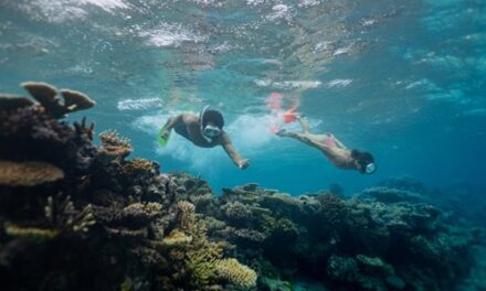 Discover Fiji’s Pristine Snorkeling at Naidiri Marine Park