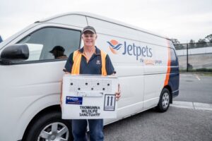 Dave Houlden, Jetpets Pet Handler with quolls at Sydney Airport - WILD LIFE Sydney Zoo