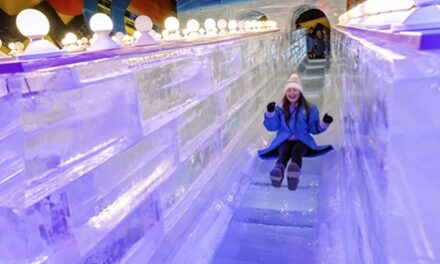 Beloved ICE! Attraction Returns Bigger for 2024 Christmas Season