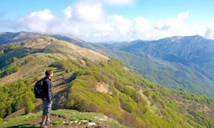 Hike Ligurian Hills: 2025 Walks at 2024 Prices!