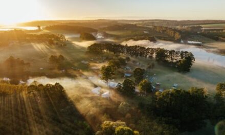 Truffle Kerfuffle Delivers a Delicious Manjimup Weekend!