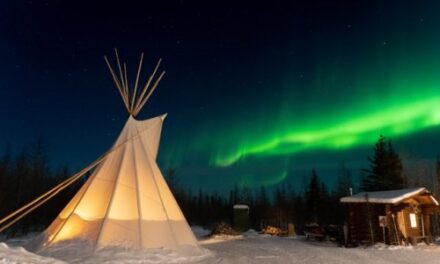 3 Exciting Ways to See Polar Bears in Manitoba