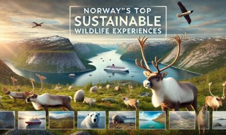 Discover Norway’s Wild Wonders: Top 9 Sustainable Luxury Animal Encounters