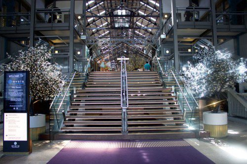 Ovolo Hotels Elevates with Dynamic New Leaders