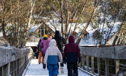 Polar Snowstorm Hits Thredbo Resort: 5cm & Counting!