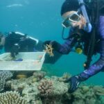 Queensland Unveils ‘Great Things’ Campaign After UNESCO Nod!