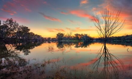 NSW Outback: Epic Holiday Deals for Roadtrippers