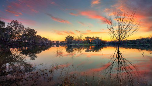 NSW Outback: Epic Holiday Deals for Roadtrippers