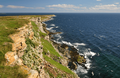 Discover Up Norway’s Wild Varanger Experience This Summer!