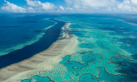 Great Barrier Reef 2024 Report: Ecosystem Under Pressure