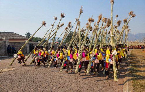 2024 Umhlanga Reed Dance Dates Officially Announced!