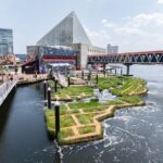 National Aquarium Reveals Chesapeake Bay-Inspired Wetland!