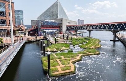 National Aquarium Reveals Chesapeake Bay-Inspired Wetland!