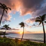 Rediscover Maui Now: Authentic Experiences, Great Value