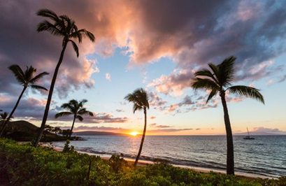 Rediscover Maui Now: Authentic Experiences, Great Value