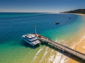 Reef Cat Roars as Tangalooma Prepares for Olympic Tourism