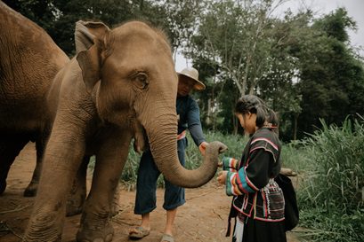 Anantara Golden Triangle Celebrates World Elephant Day