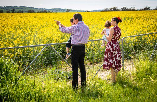 Explore Cowra’s ‘Golden Fields’ This Spring in 5 Ways!