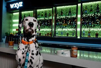 Aloft Hotels Treats Working Dogs to Free Brew on Dog Day!