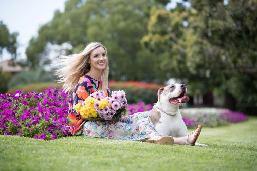 Bow-Wow at Toowoomba Carnival of Flowers!