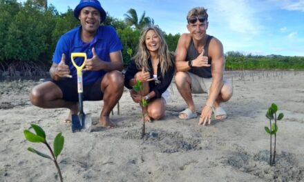 Fiji Marriott Momi Bay Celebrates World Mangrove Day!