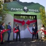 Giant Pandas Debut in Historic Day at San Diego Zoo!