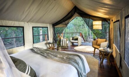 Spring Flings Await at Australia’s Premier Luxury Glamping